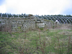 Fallowlees Bastle, Hollinghill